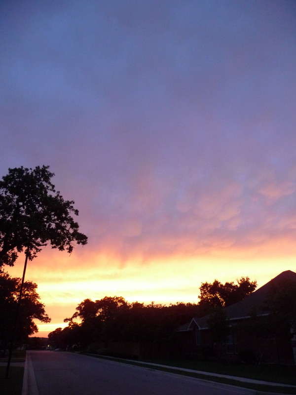 Dusk in my street