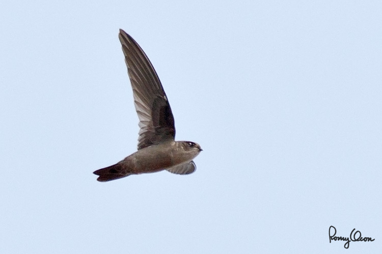 RMO_1244-750x500.jpg