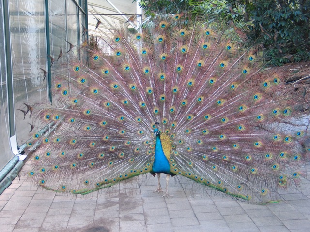 IMG_2013.jpg