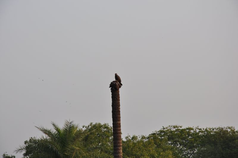DSC_0471_4.jpg