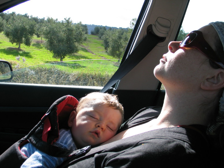 IMG_8456_2_1.JPG