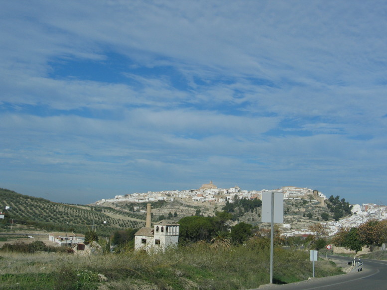 IMG_9262_9_1.JPG