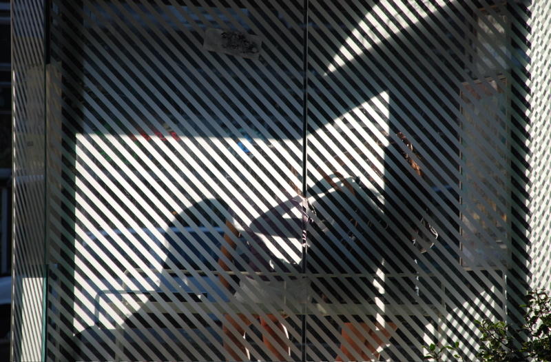Fulton Street Bus Shelter