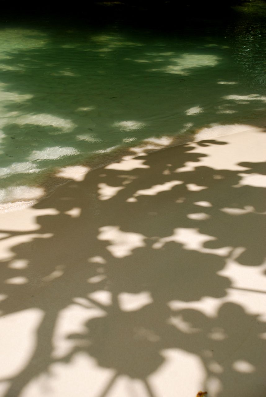 Frenchmans Cove Shadows