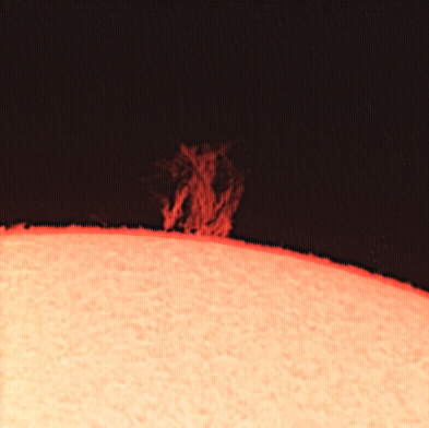 sun 022011 Prominence