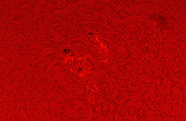 Sunspots and Filaments 022011