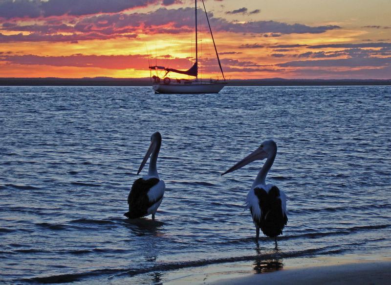 Sunset at 1770 Caravan park