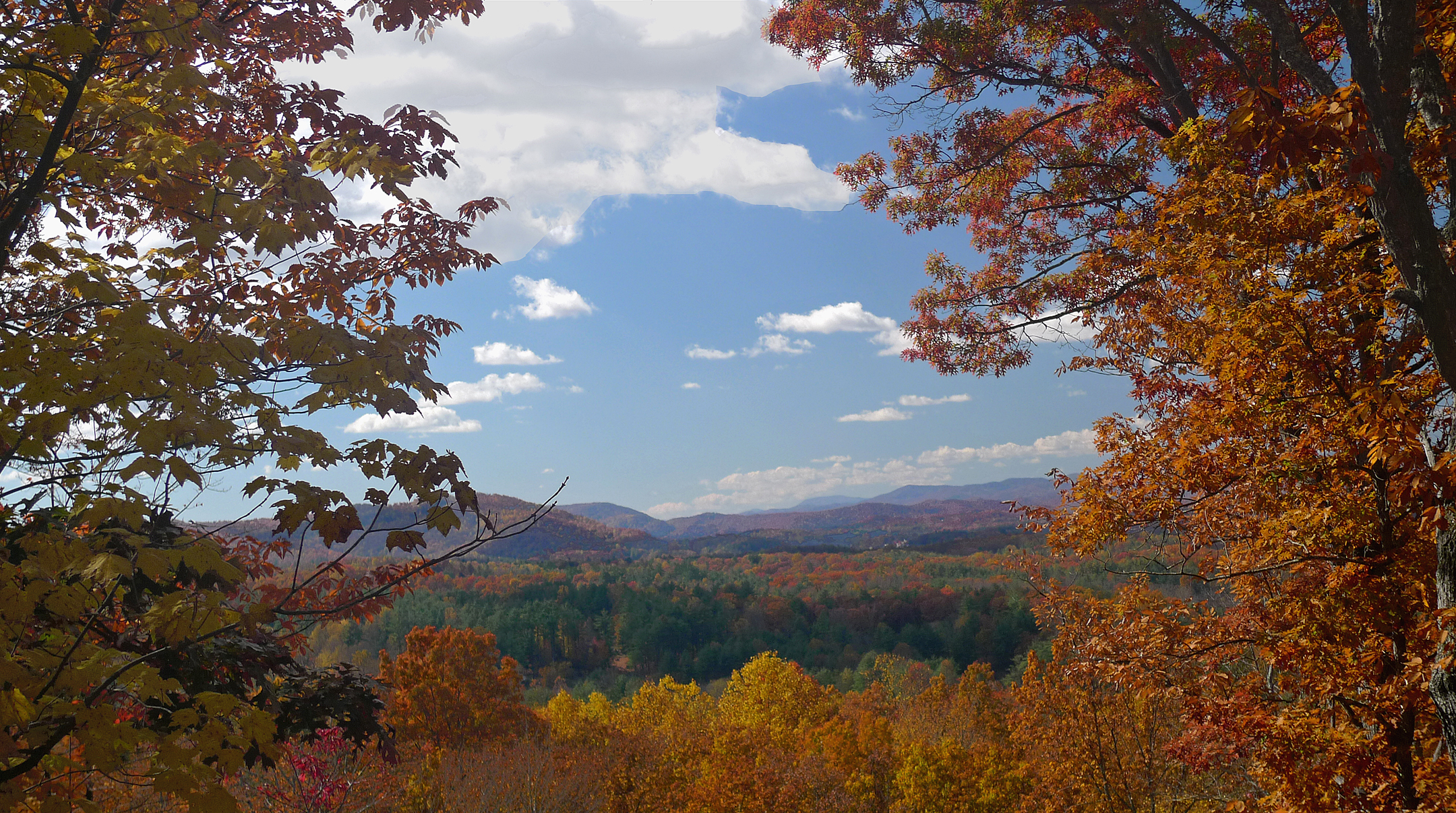 VIEW FROM OUR DECK - ISO 80