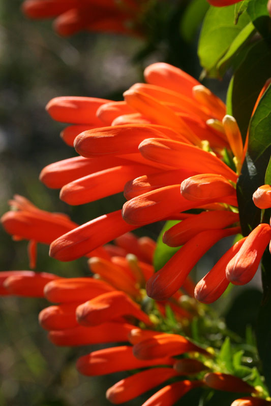 autumn__2008