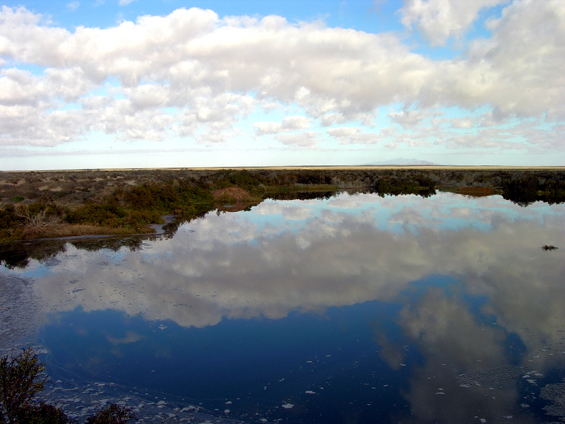 Wetland by the Sea