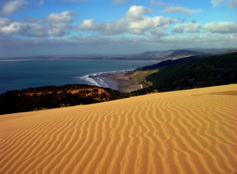 Overlooking Ahipara Beach