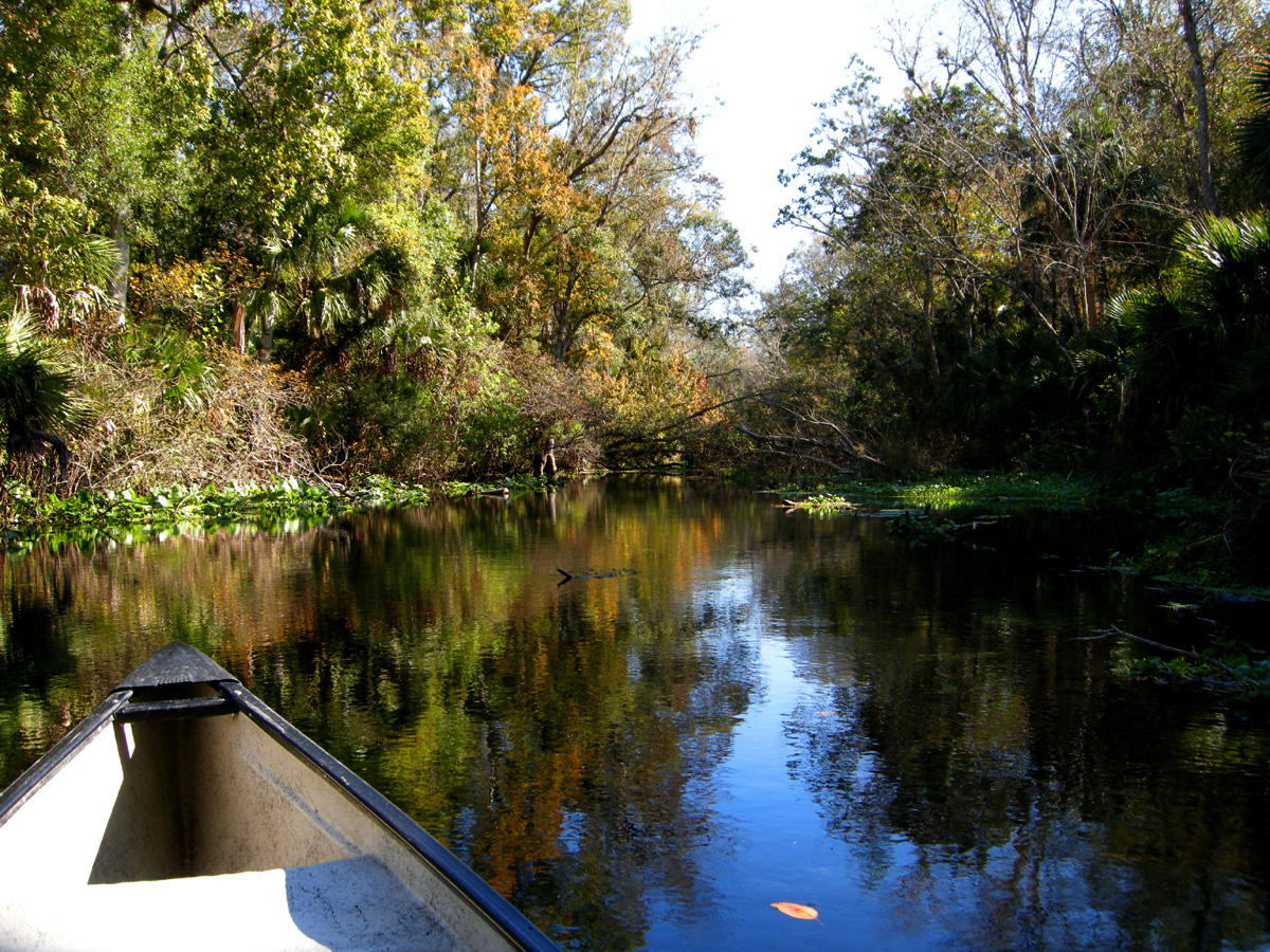 Wekiwa River