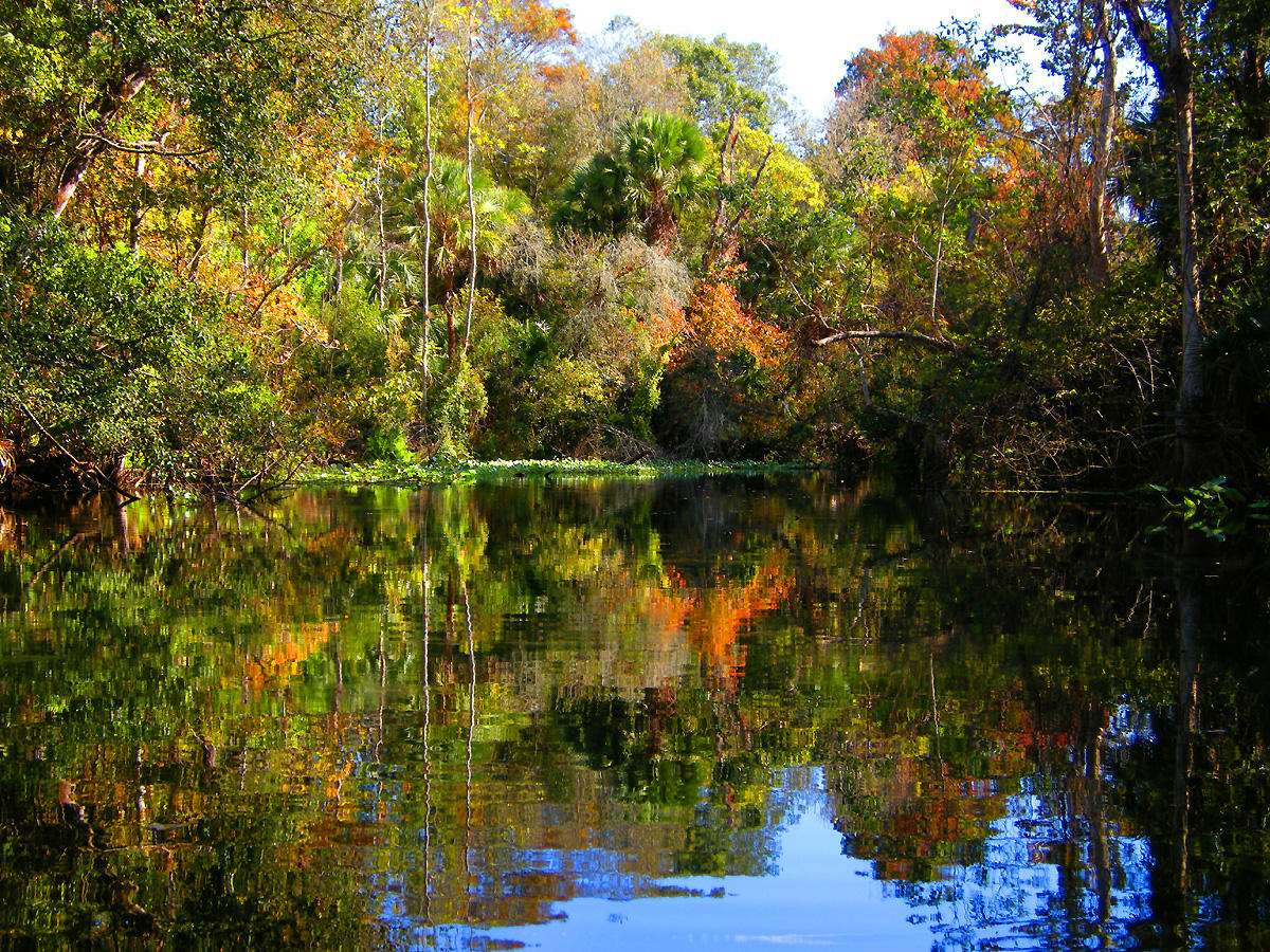 Wekiwa River