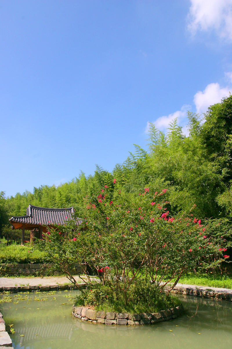 Bamboo Park 20.jpg