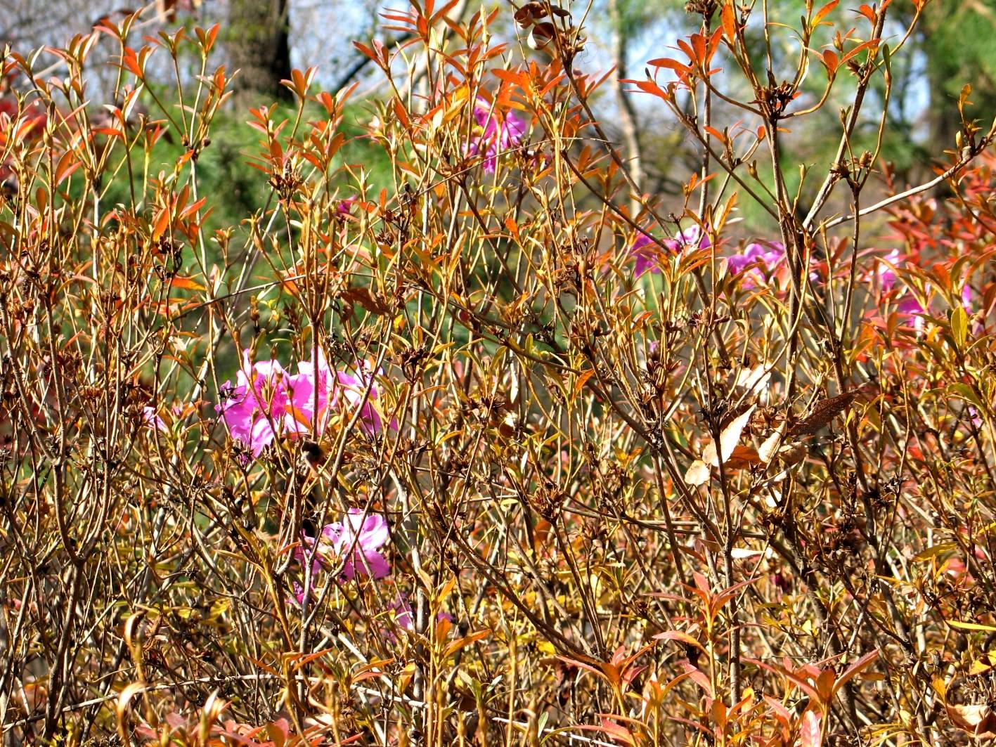 Fall in Seoul