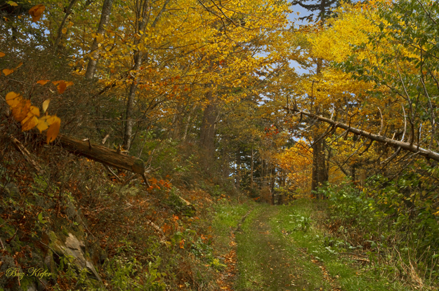 Noland Divide Trailhead