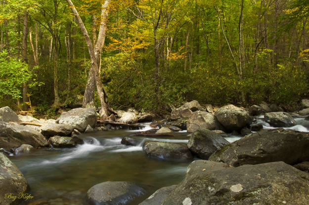 The Start of Autumn - West Prong Little Pigeon River