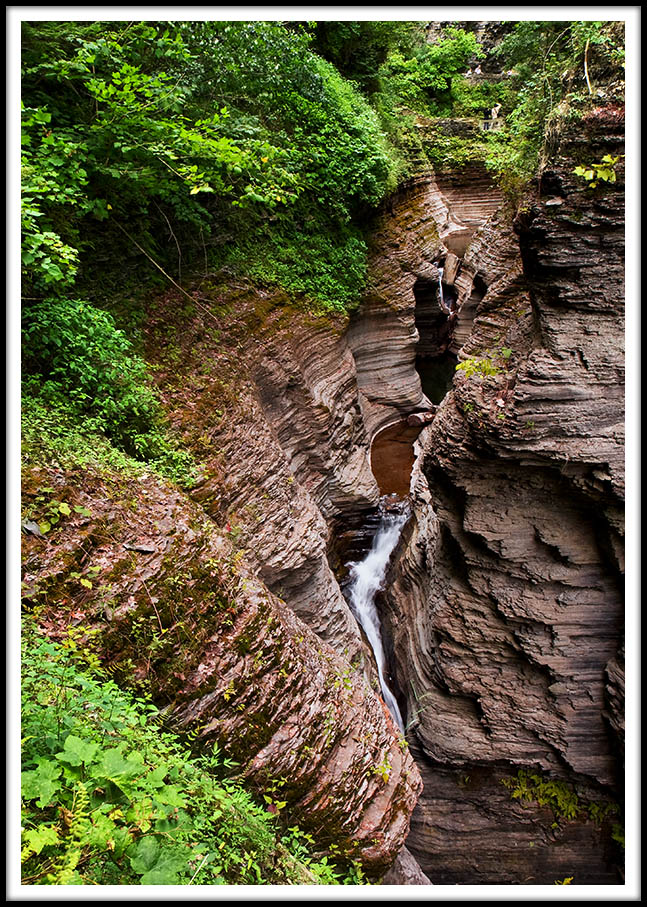 Natures Fertile Gorge Story