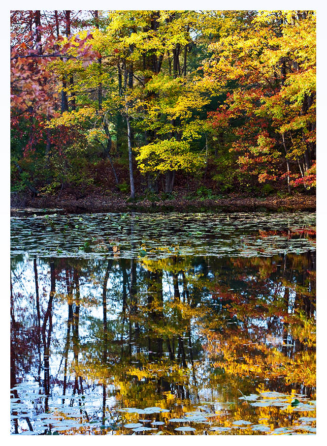 Fall Reflections