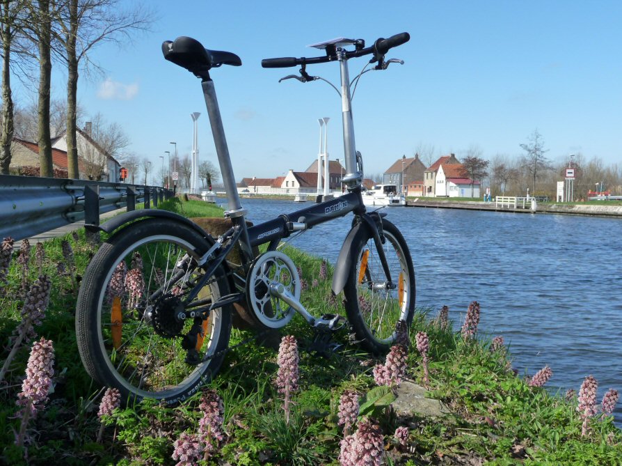 dahon-de-rando-2.jpg