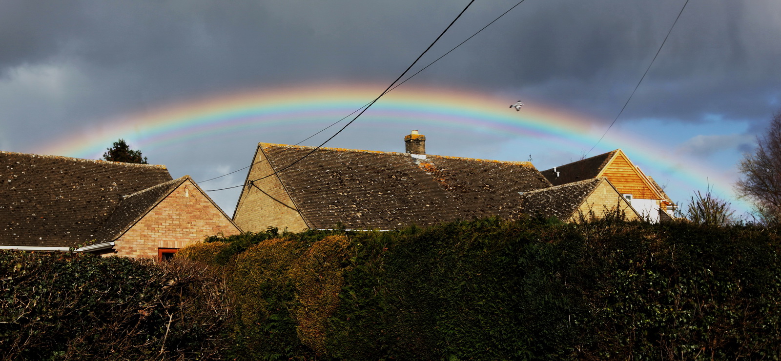 Dramatic rainbow