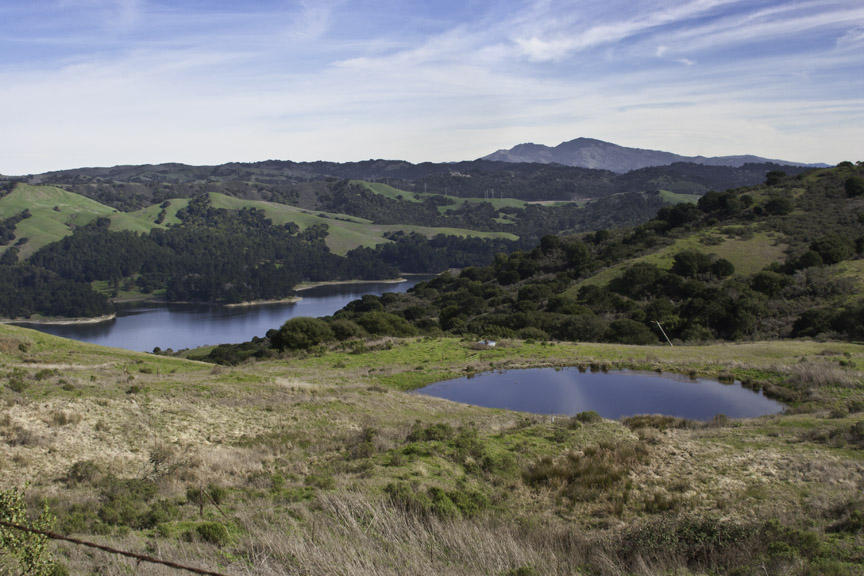 berkeley, tilden park