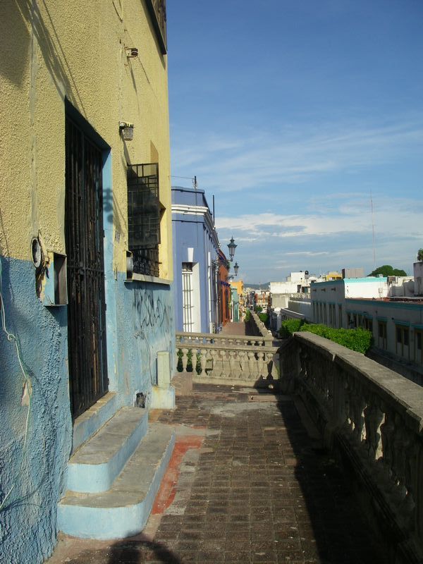 back yard.JPG