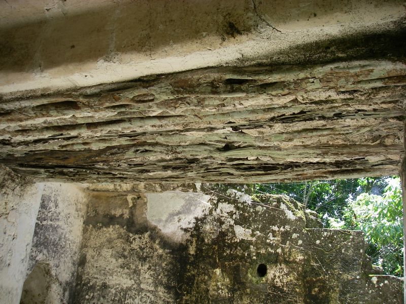 IMGP1817sm.JPG