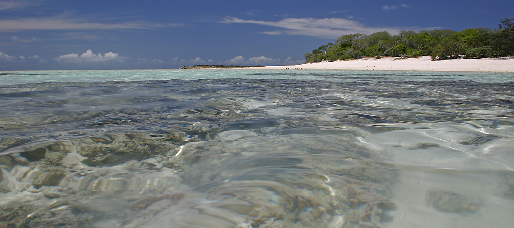 Shark Bay, Heron Island