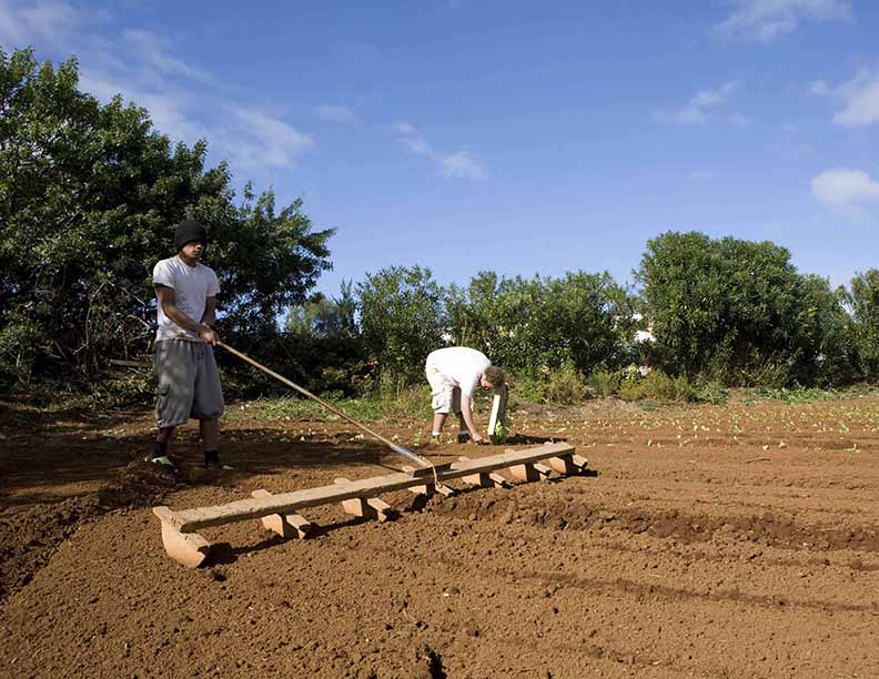 Preparing to plant.jpg