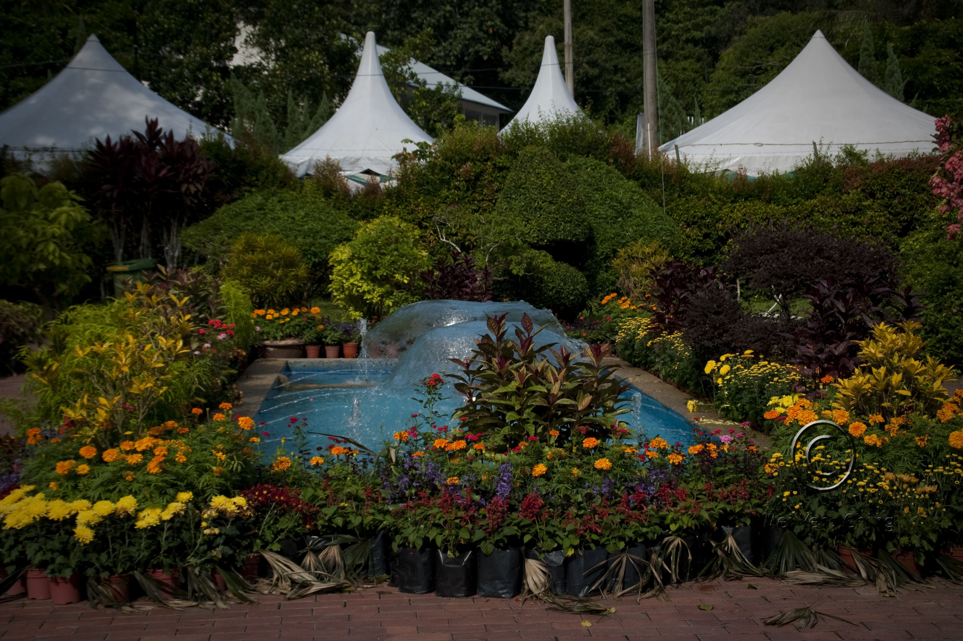 20090604_FloralFair2009_006.jpg