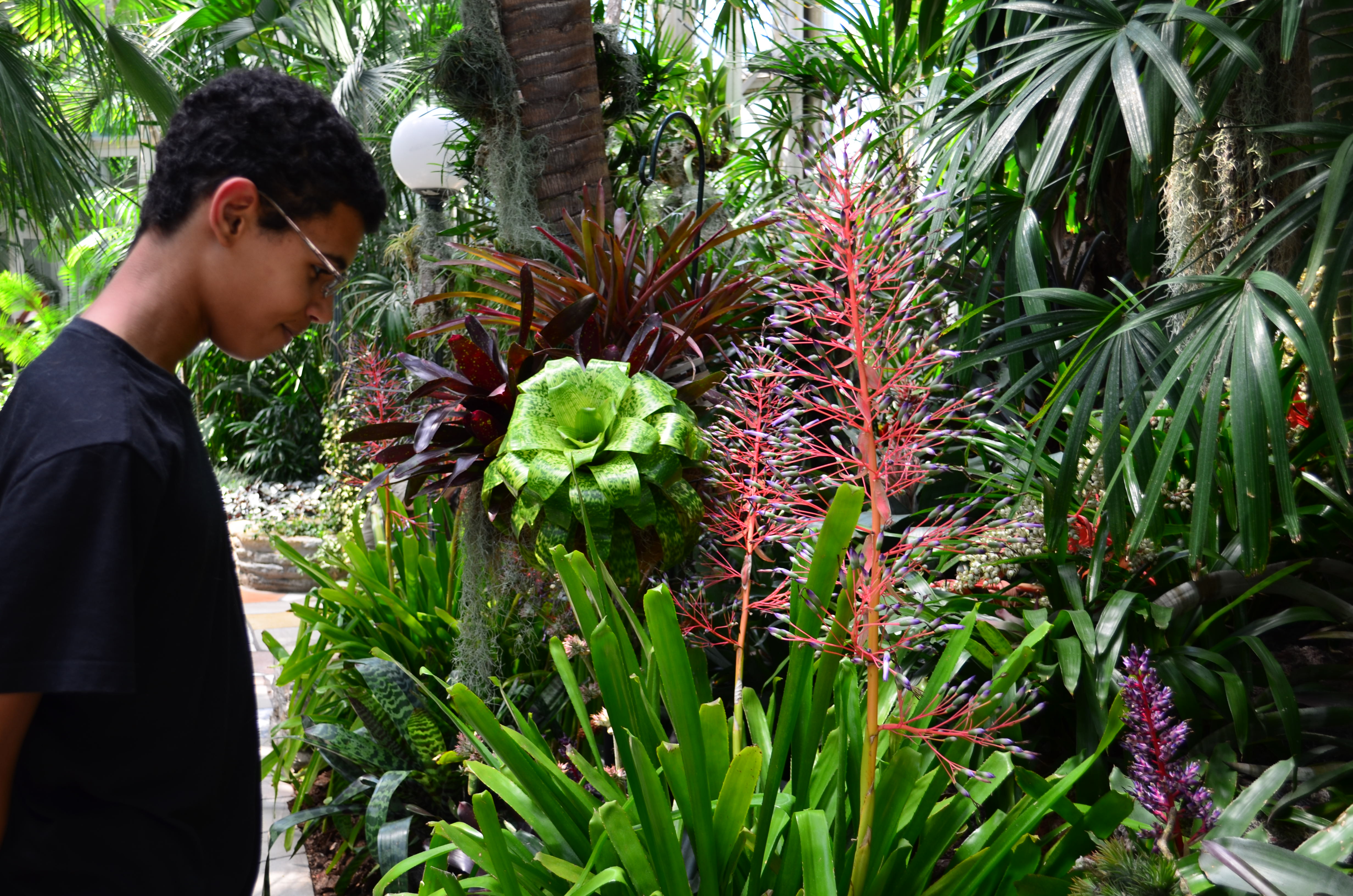 Joseph in the Arboretum