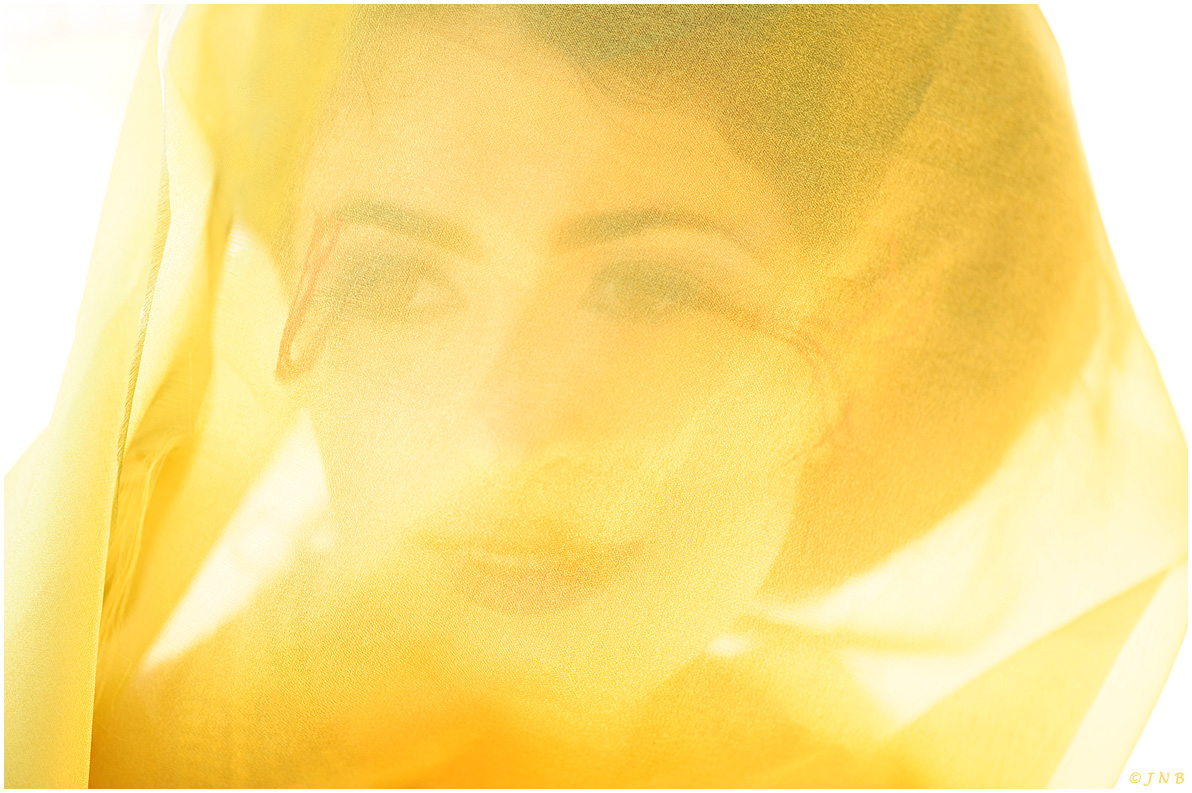The Yellow Veil