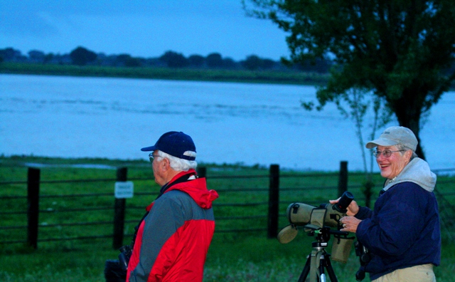 Birding in el Rocio