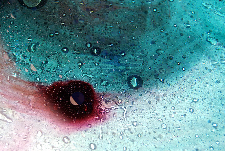 No. 16 - primordial soup