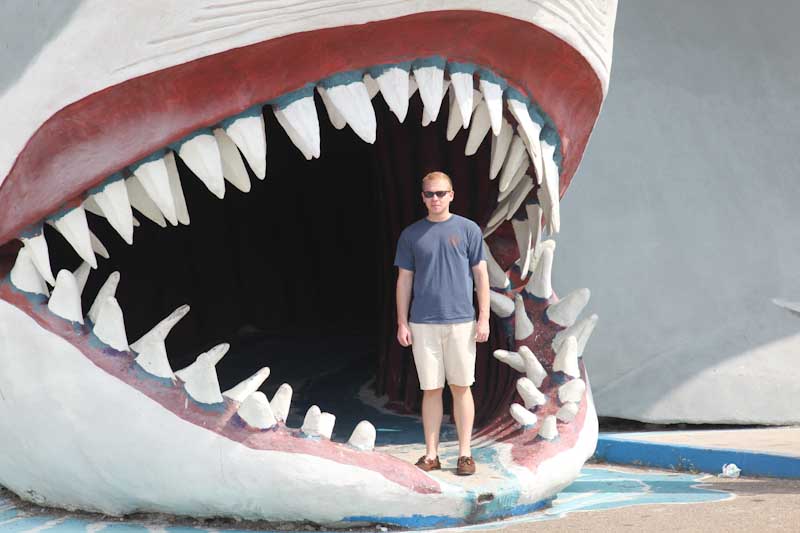 David in the Sharks Mouth