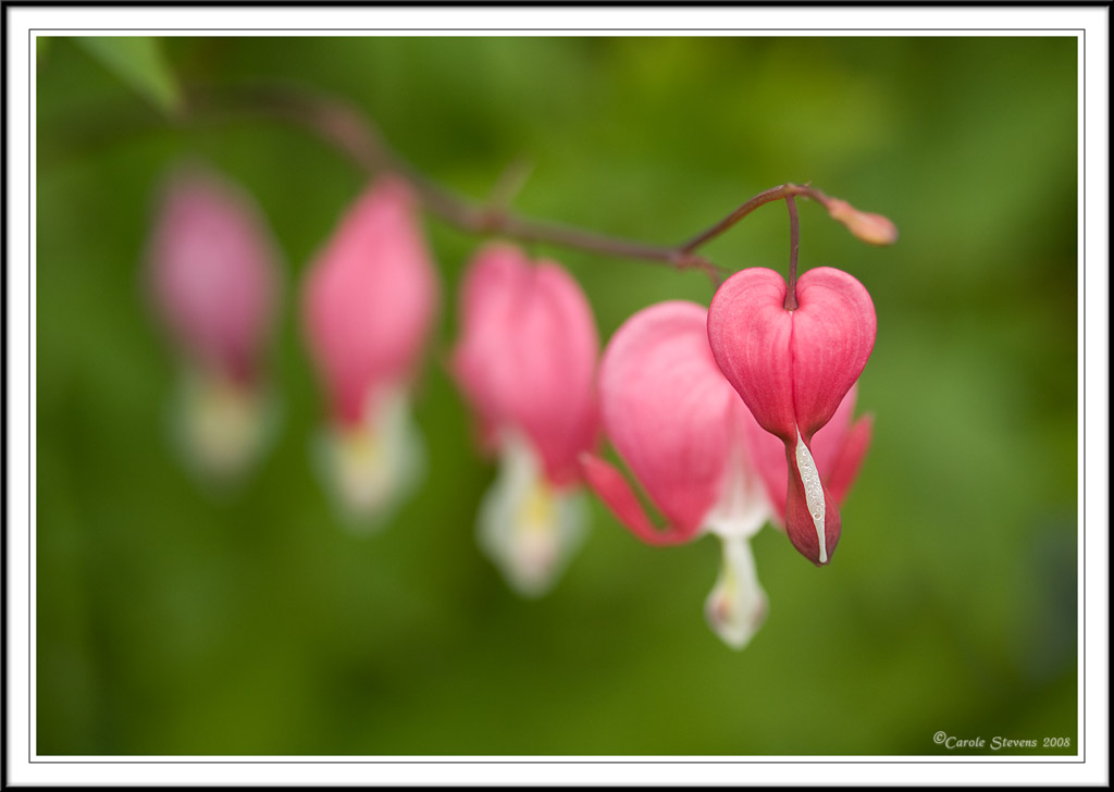 Heart to Heart!