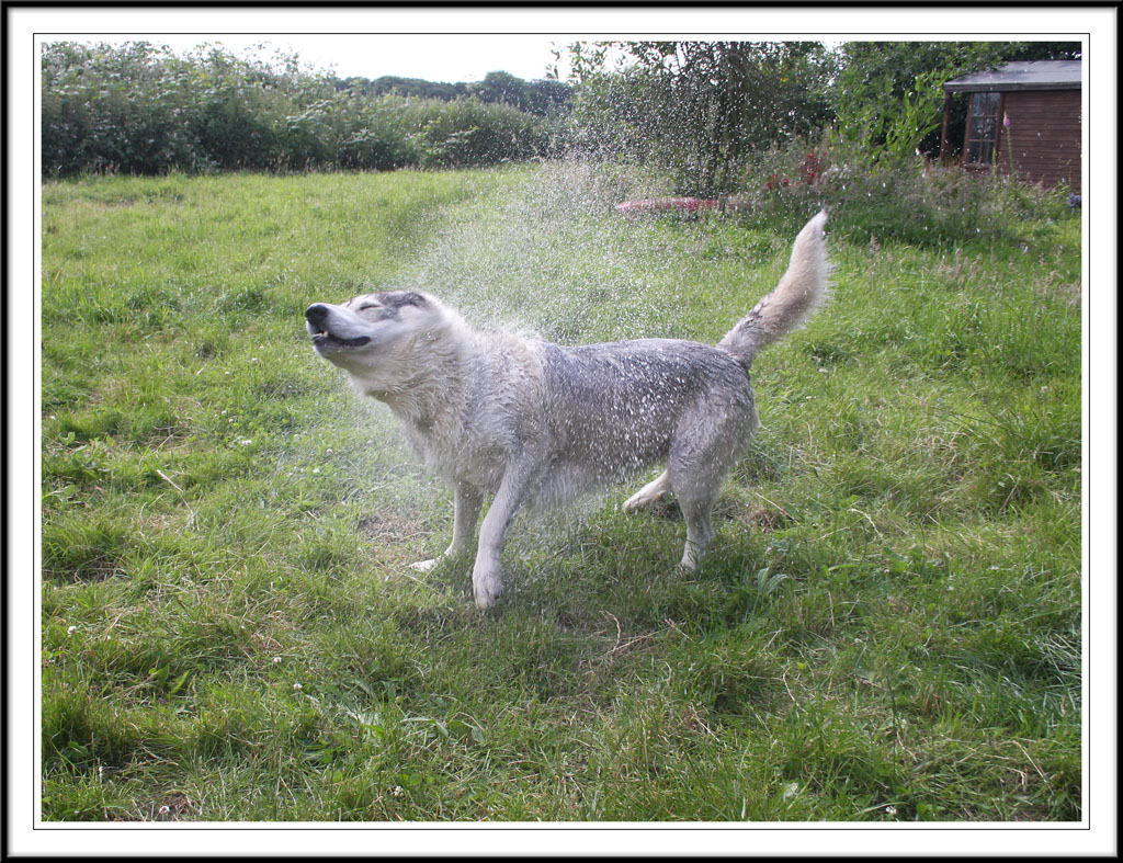 Bathtime!