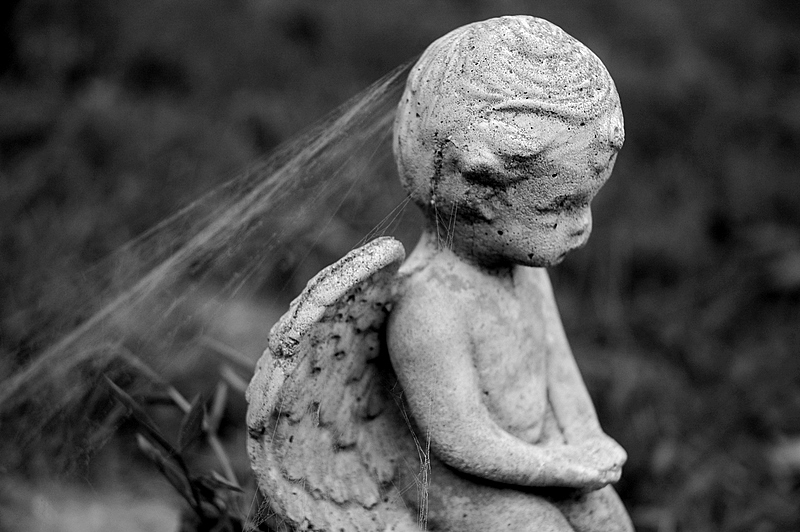 Forgotten Angel