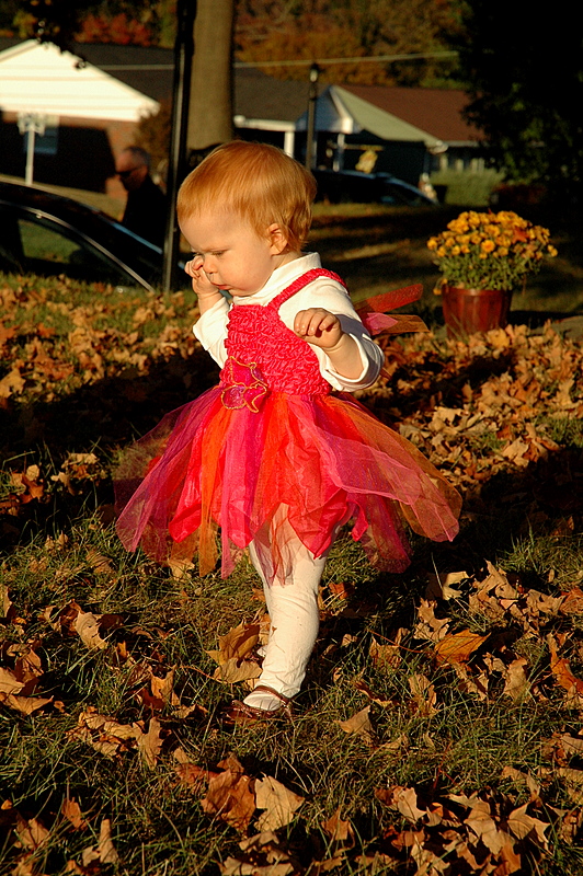 Fairy Princess