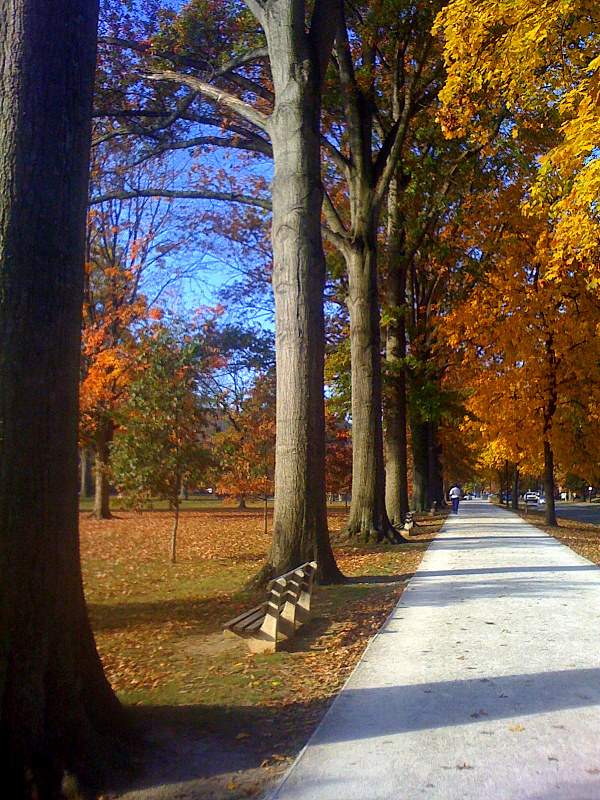Ritter Park