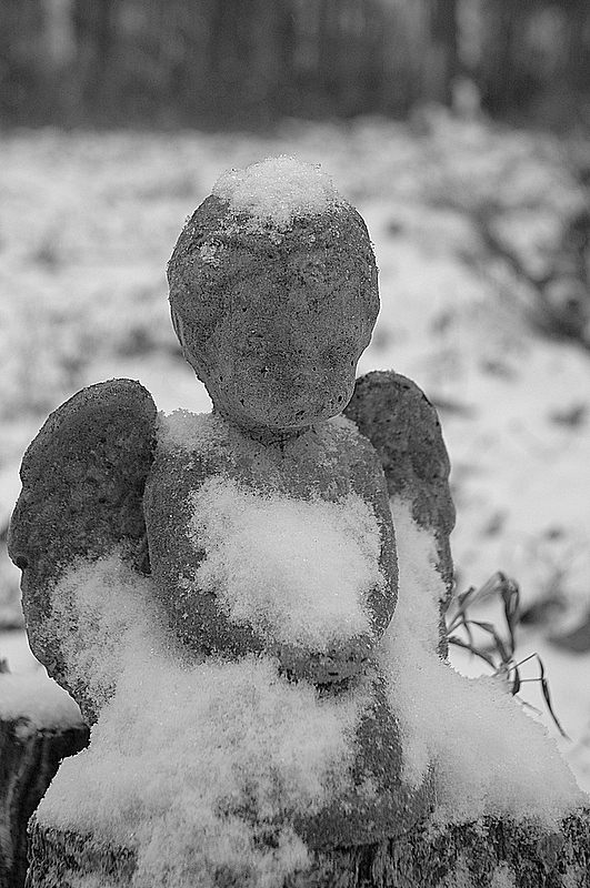 Snow Angel