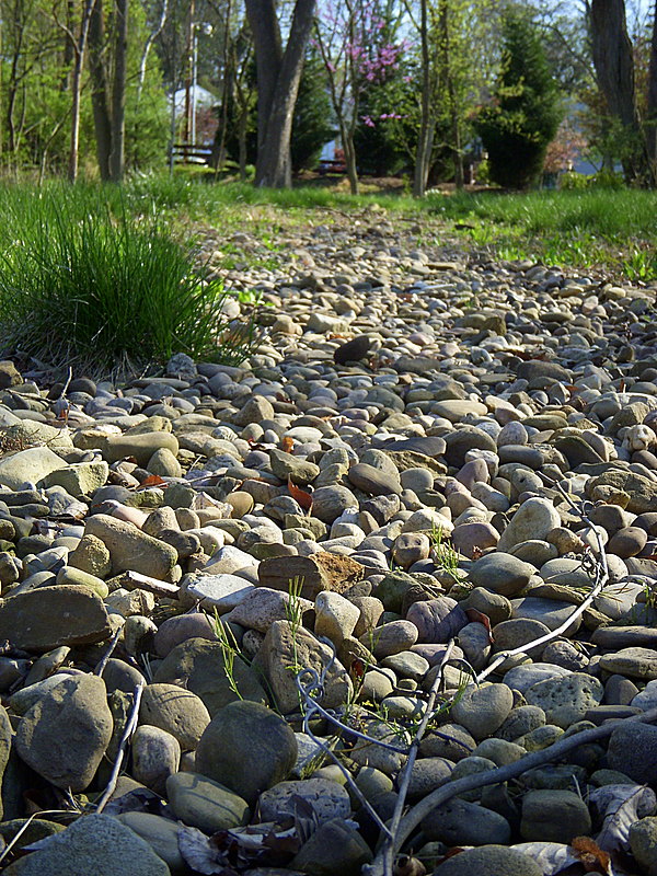 DSCN7989.JPG