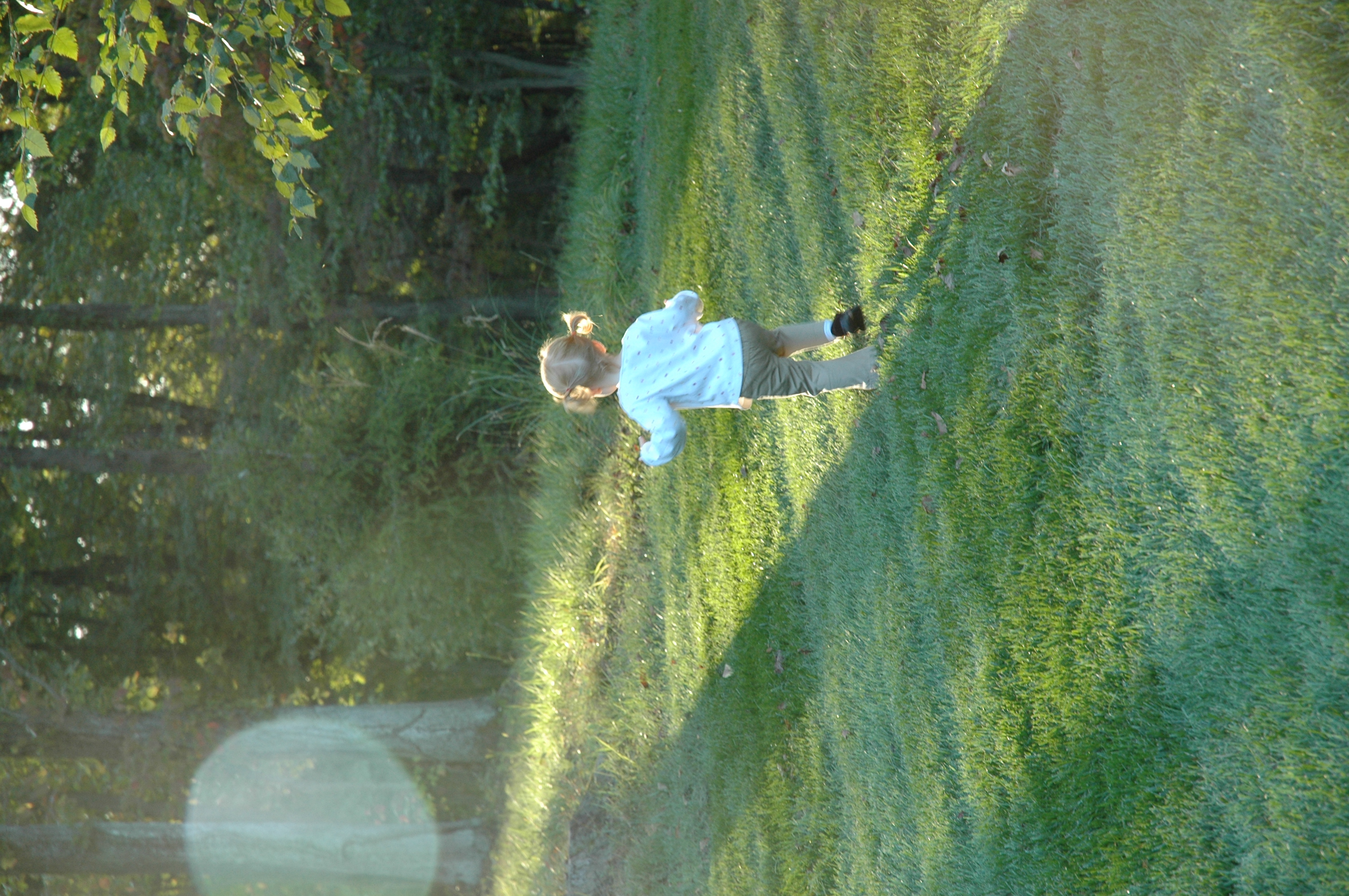 DSC_7416.JPG