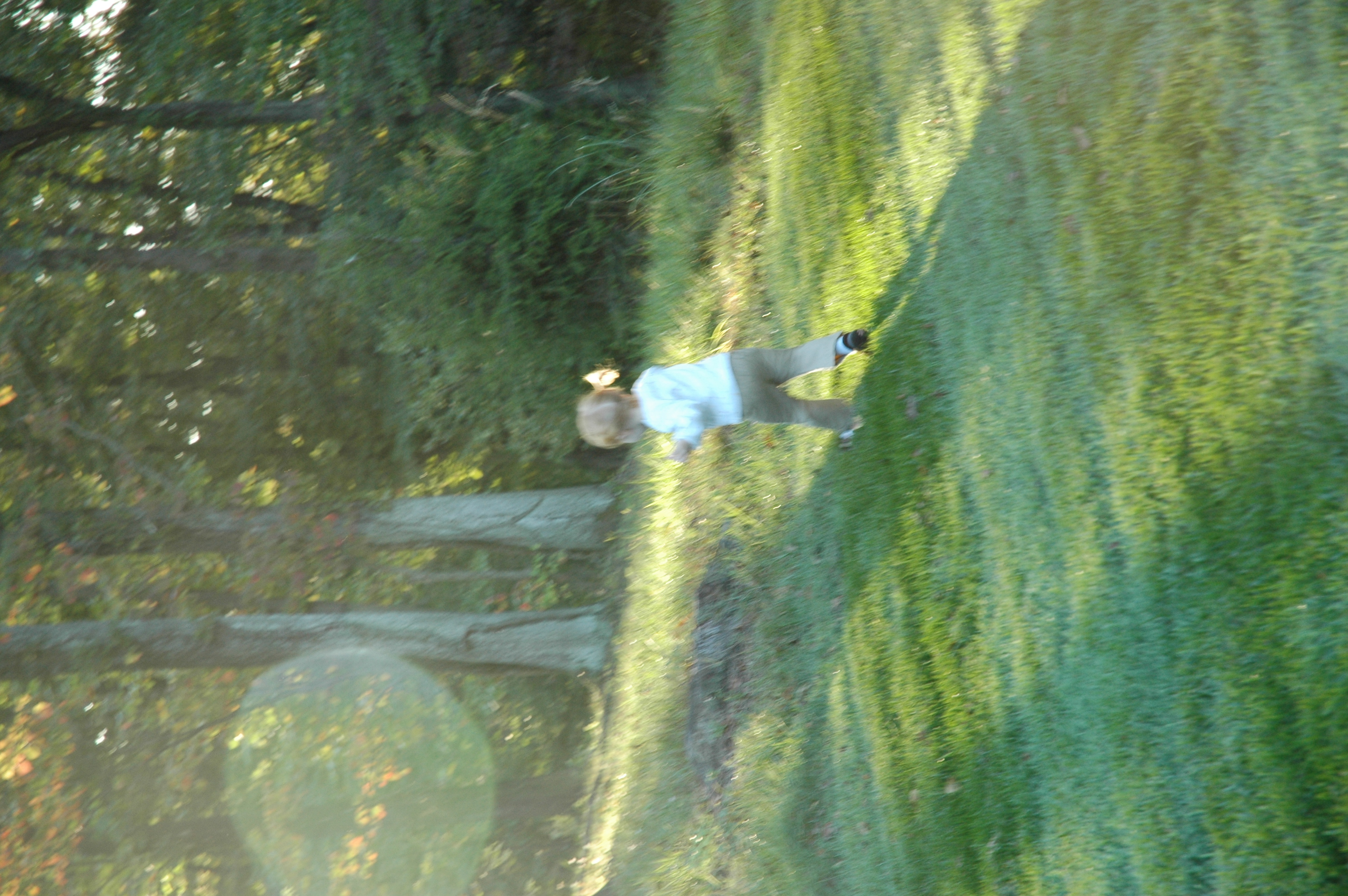 DSC_7417.JPG