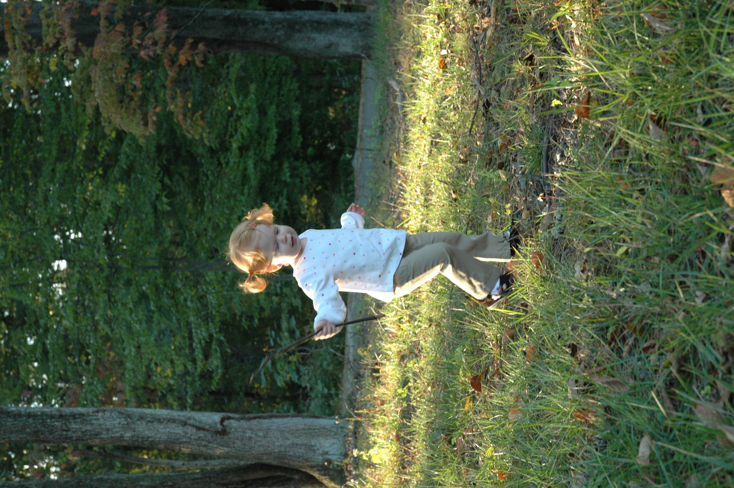 DSC_7427.JPG
