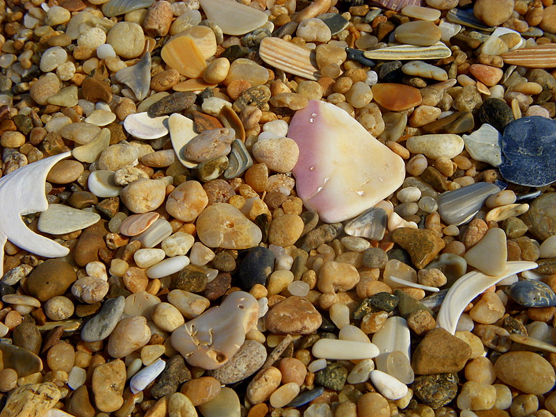 Treasure Hunt