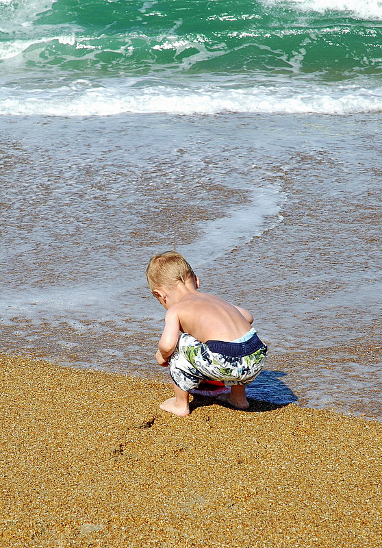 Beach Bum