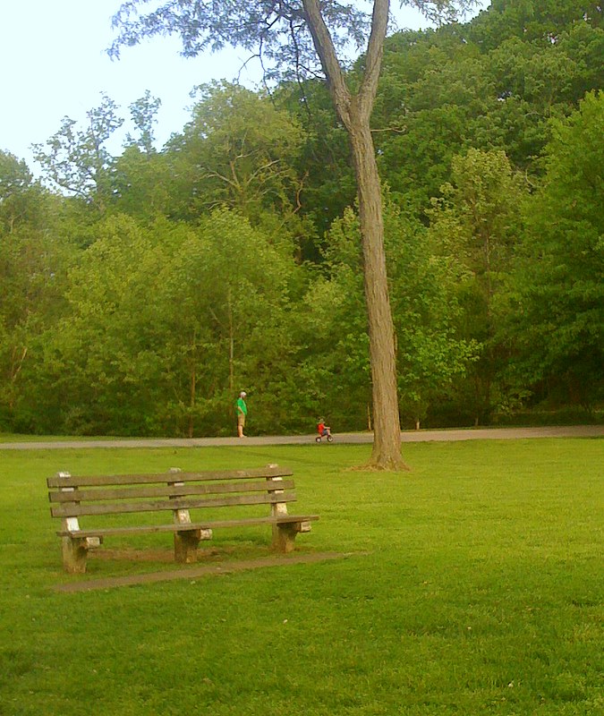 Peaceful Afternoon