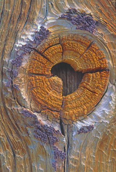 Knothole in siding board, Bodie State Park, CA
